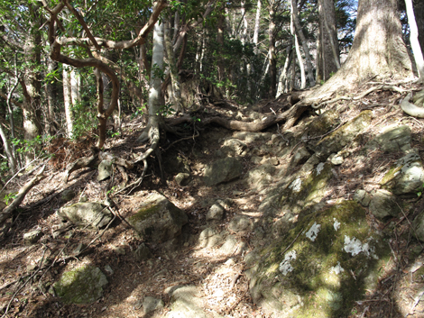 20190108hike (194)
